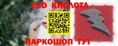 спайс Гай