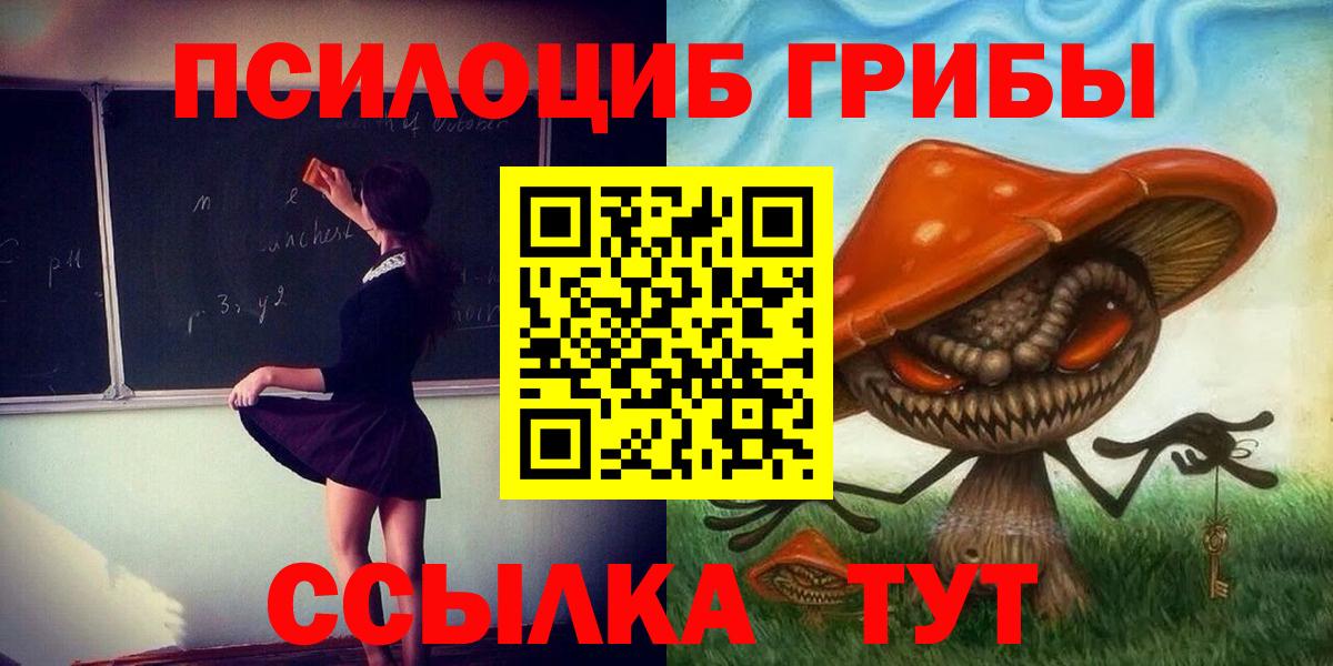 Ипатово  где купить наркоту  Галлюциногенные грибы Psilocybine cubensis  Вход с VPN  Псилоцибиновые грибы прущие грибы 