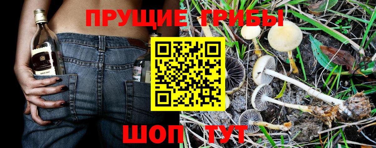 Галлюциногенные грибы прущие грибы Ипатово